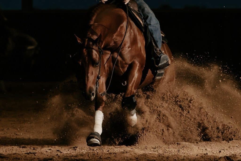 Bo Ranch
